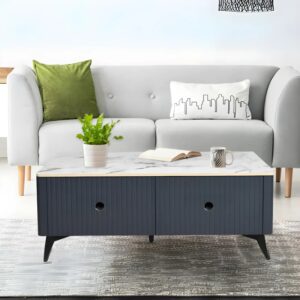 Steven Onyx Storage Coffee Table